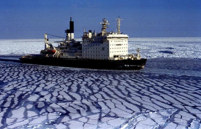 développement de la route maritime du nord