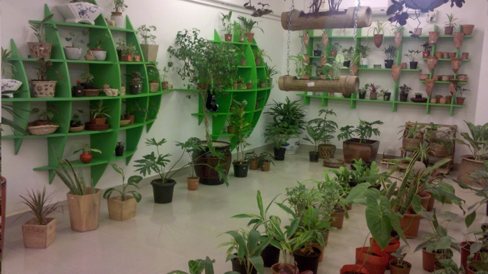 plantes d'intérieur comme une entreprise