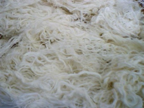 production de coton