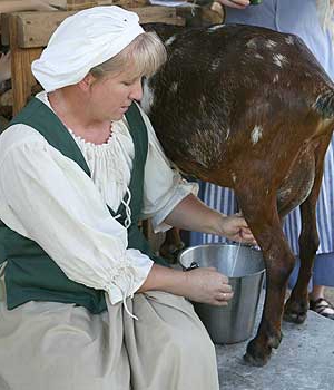 vente de lait de chèvre