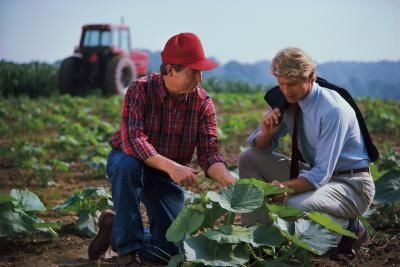 idées agroalimentaires