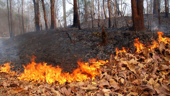 Facteurs destructeurs d'incendie et d'explosion