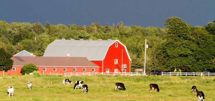 entreprise agricole