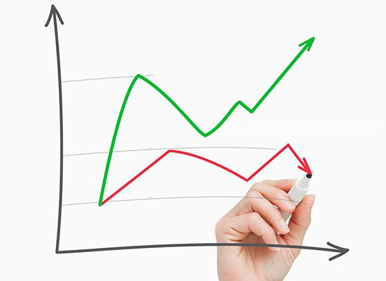 responsabilités de l'économiste