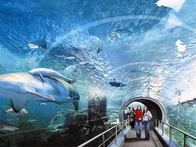 Le plus grand aquarium de Moscou à vdnh