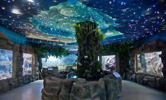 Le plus grand aquarium de Moscou Rio