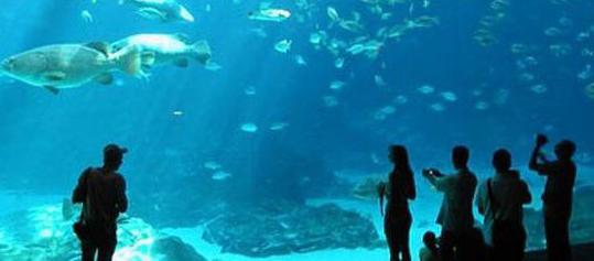 le plus grand aquarium de moscou