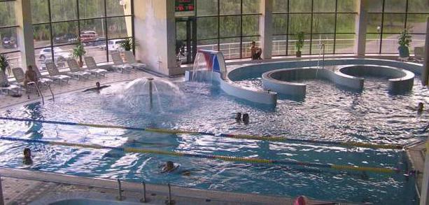 Le plus grand parc aquatique de Moscou, Moron