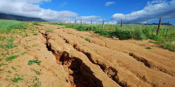 remise en état des terres perturbées par l'exploitation minière