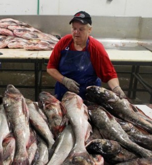 Poissonnerie en tant qu'entreprise