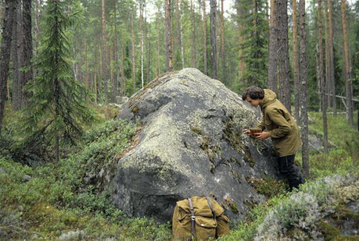 Réserve naturelle d'État de Kostomuksha