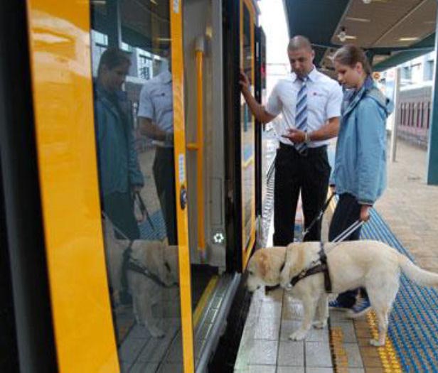 norme de transport a animalelor