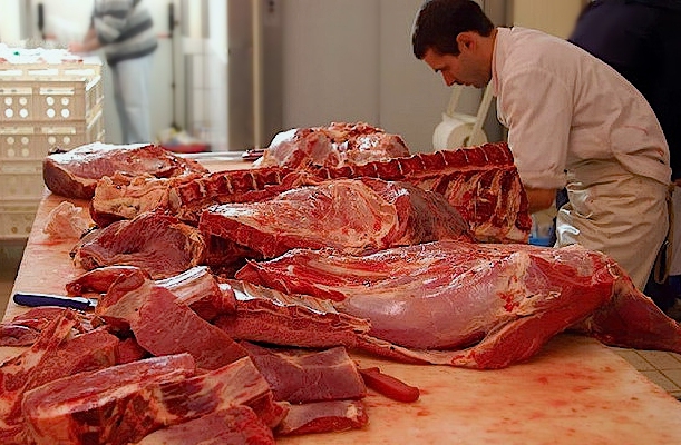 équipement pour la production de viande semi-finie