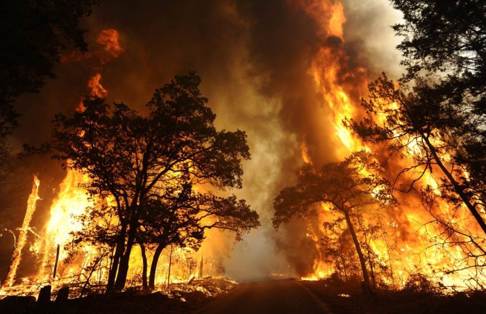 classification et caractérisation du feu