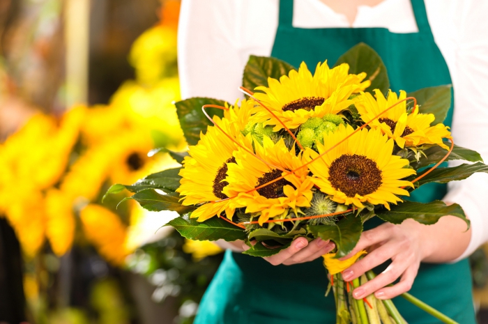 caractéristiques d'affaires de fleurs