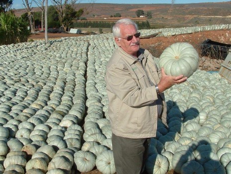 meilleures graines de légumes