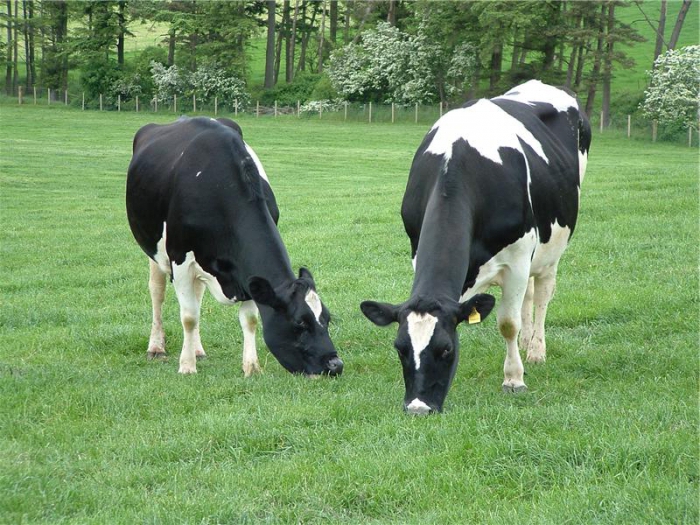 enregistrement d'état de l'agriculture paysanne