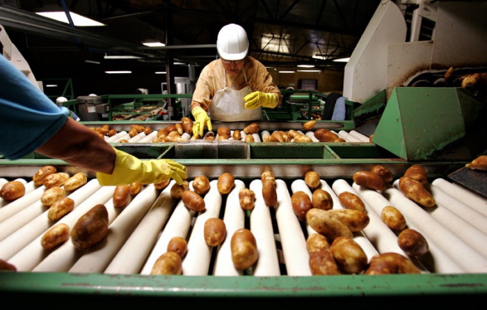 traitement de la pomme de terre