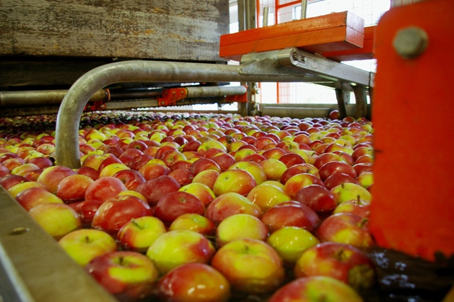 méthodes de traitement des pommes