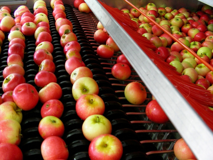 ligne de traitement de pomme