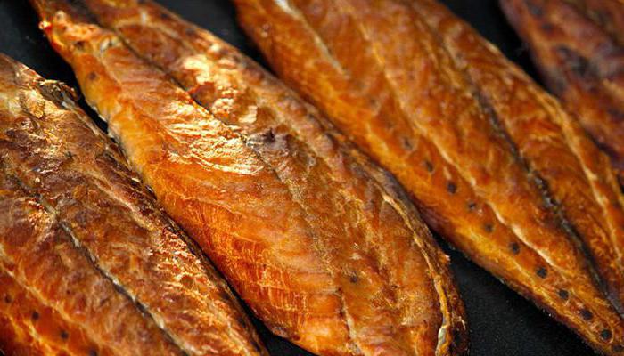 cold smoked fish technology