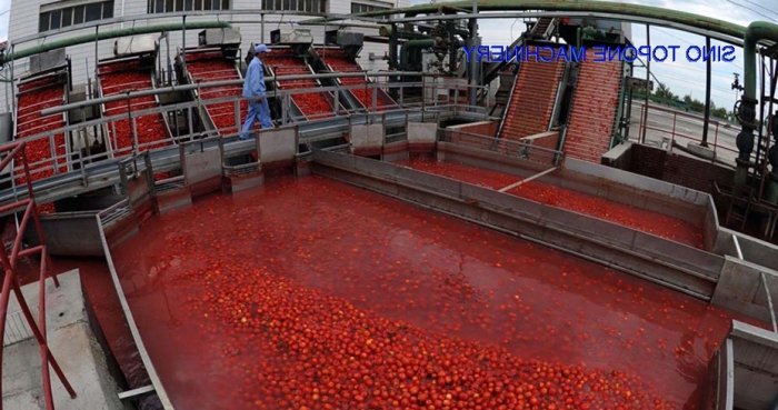 technologie de production de pâte de tomate