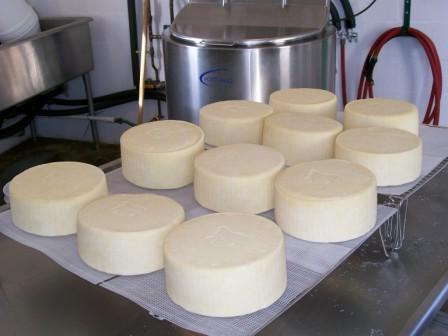 bilan matière de la production fromagère