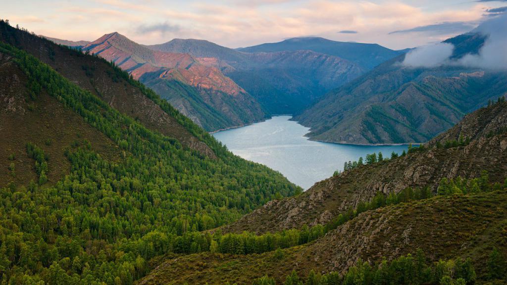 Rezervația Altai