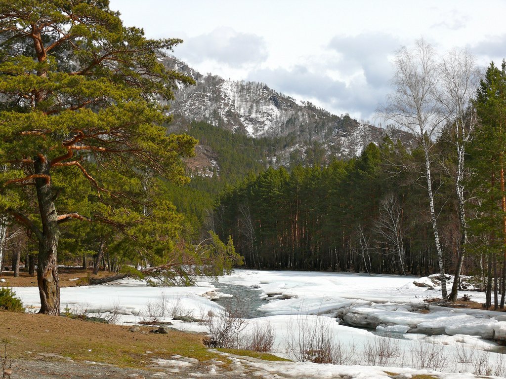 Regimul juridic al rezervelor naturale de stat