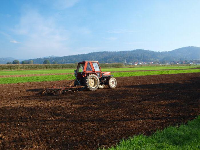 categoria șoferului tractorului