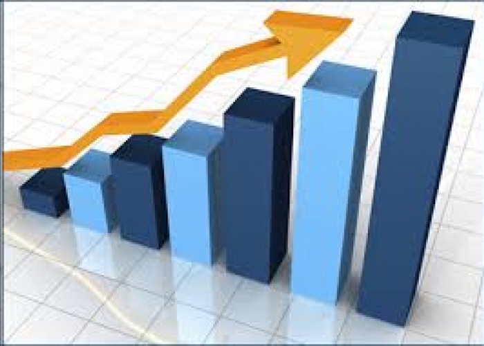 Optimisation de la structure du capital de l'entreprise