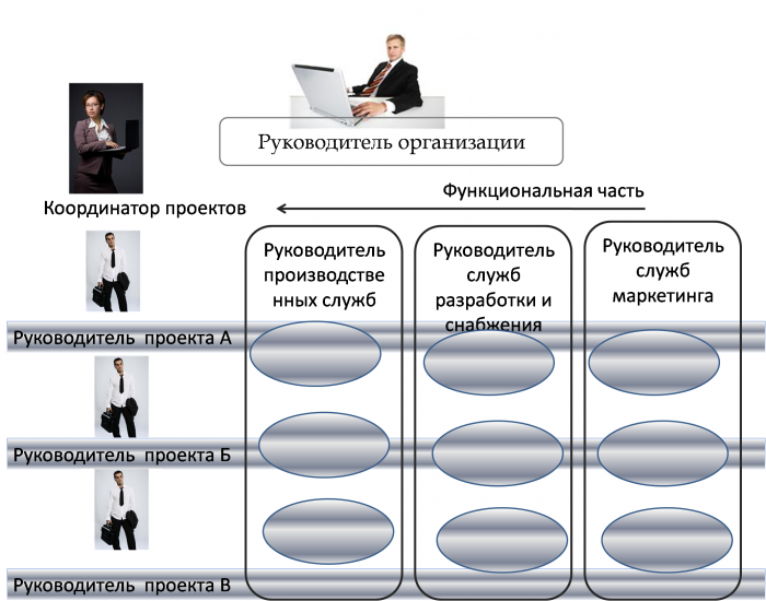 structure de gestion de l'organisation