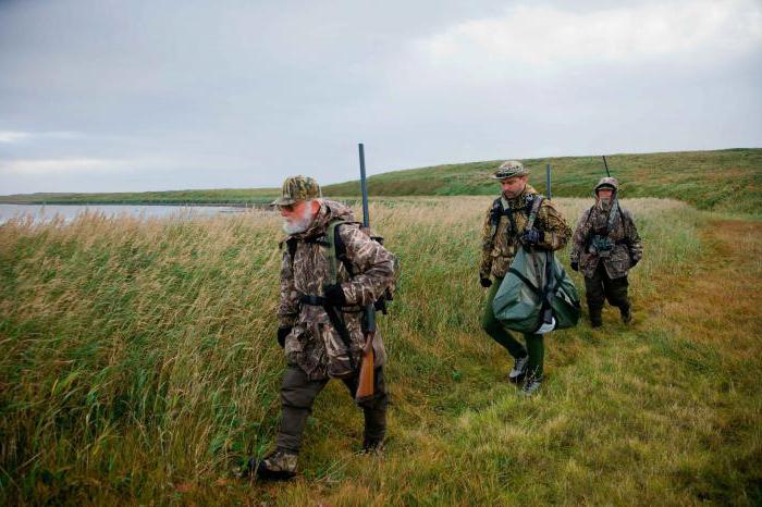 billet de chasse donne le droit de chasser pendant une période