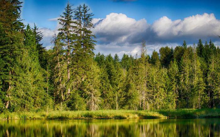 trois types de forêts dans la zone forestière