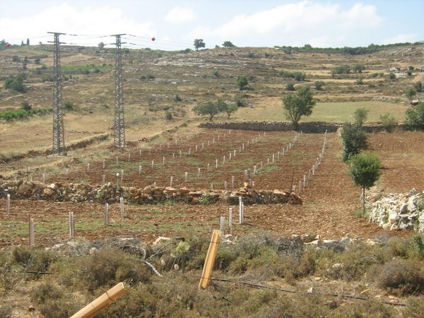 rachat de terres agricoles