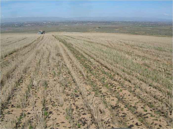 utilisation des terres agricoles