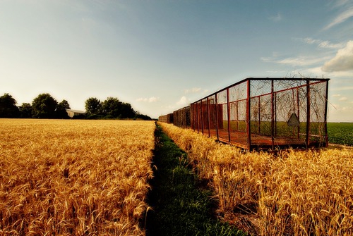 achat de terres agricoles