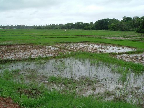 achat de terres agricoles