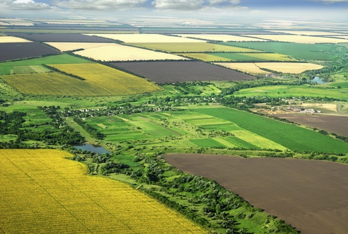 achat de terres agricoles [