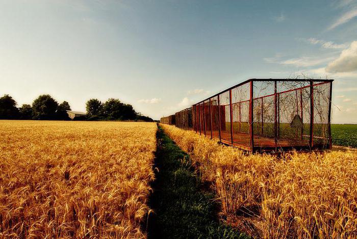  bail de terres agricoles