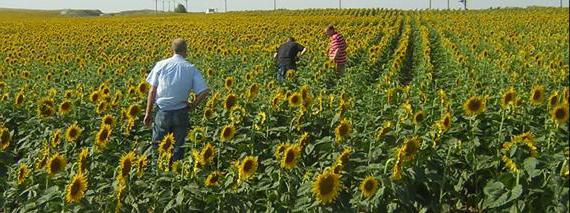 loi foncière agricole