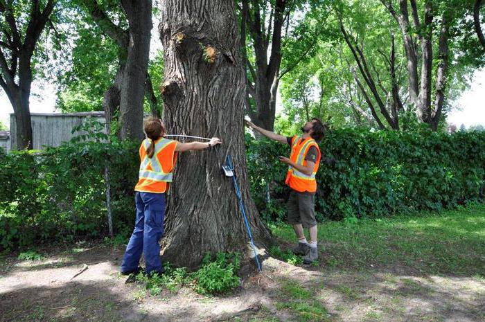  comment inventorier les espaces verts