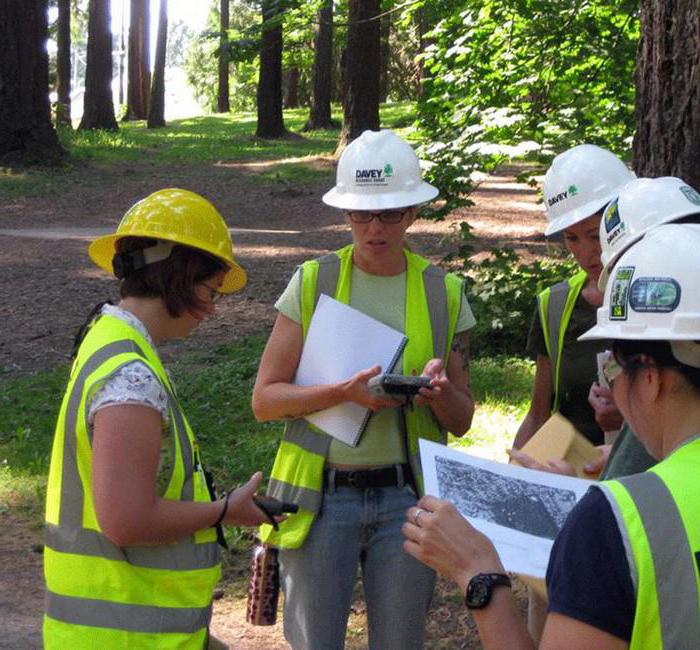 inventaire des espaces verts de la ville