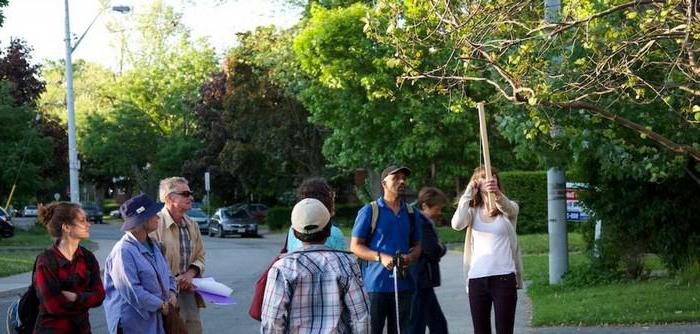 inventaire des plantations à l'aménagement paysager