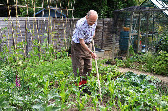 66 partenariats horticoles juridiques