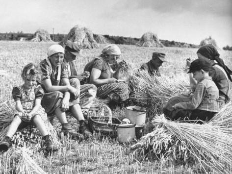 loi sur l'agriculture paysanne