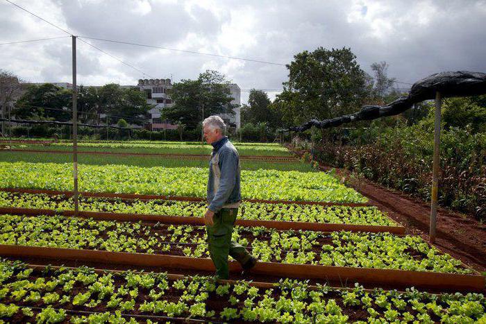 loi 74 Loi fédérale sur l'agriculture paysanne