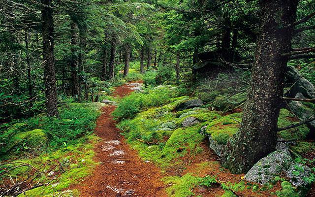 Loi fédérale sur la protection de l'environnement