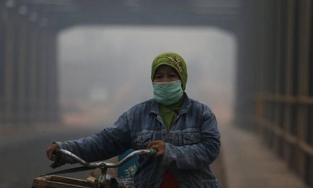 constitution des droits environnementaux des citoyens