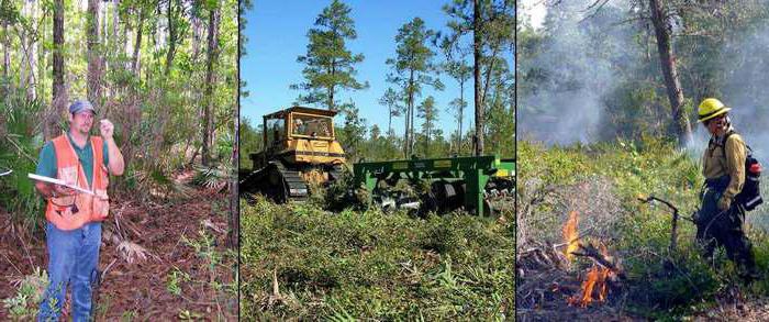 conservation des terres